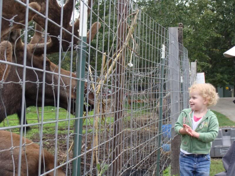 Autumn thinking about feeding