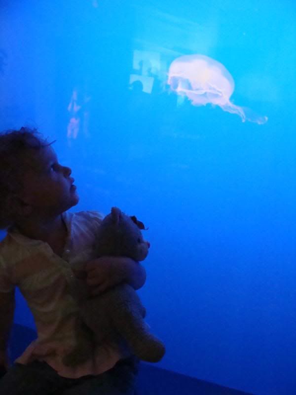 Autumn and Roww Jelly