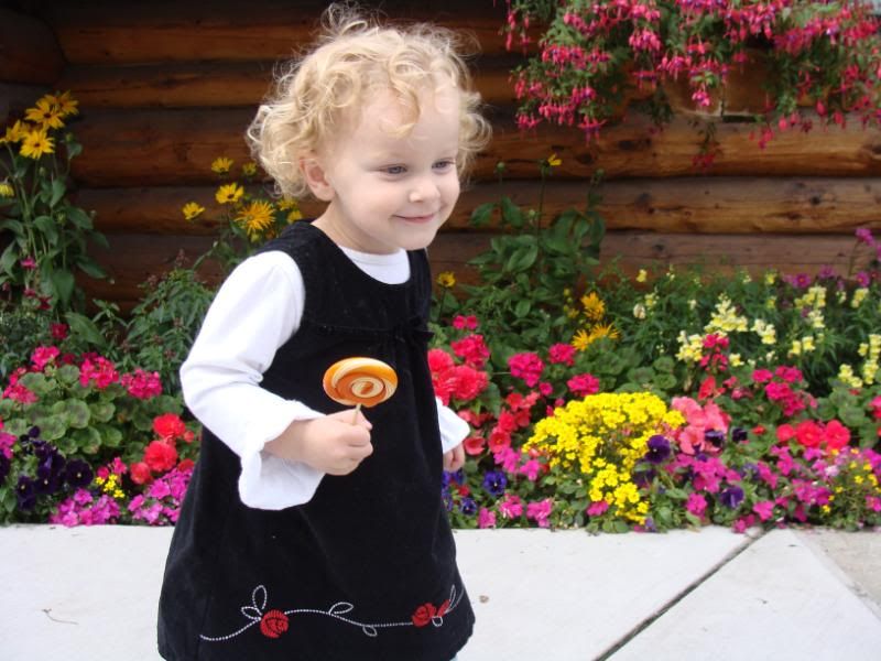 all the pretty flowerws