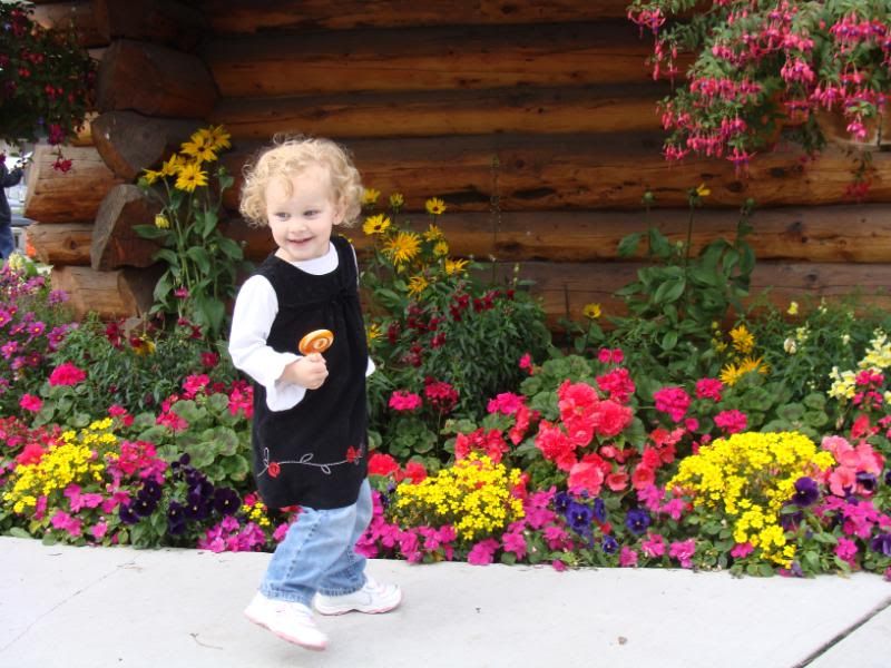 Autumn lollipop flowers