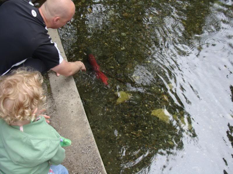 Sean harassing the fish