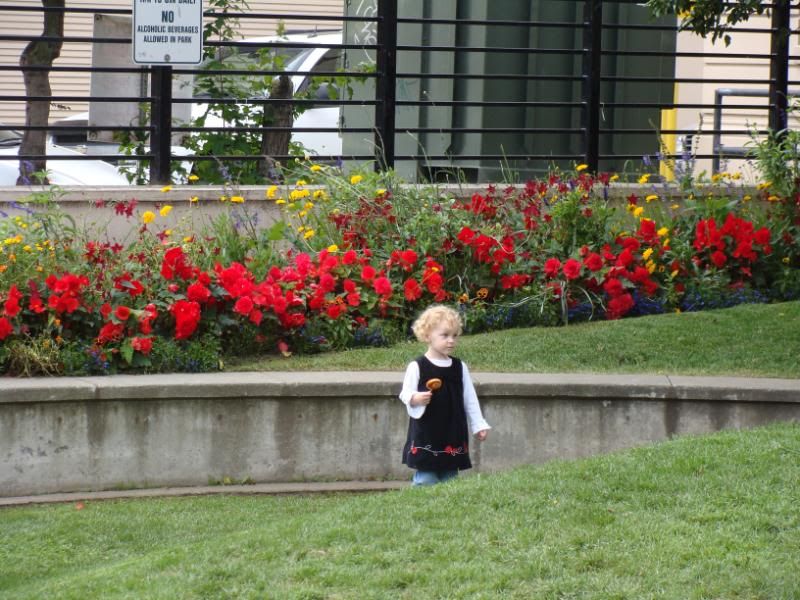 Walk through the park