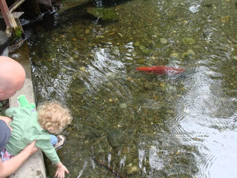 Autumn trying to fall in