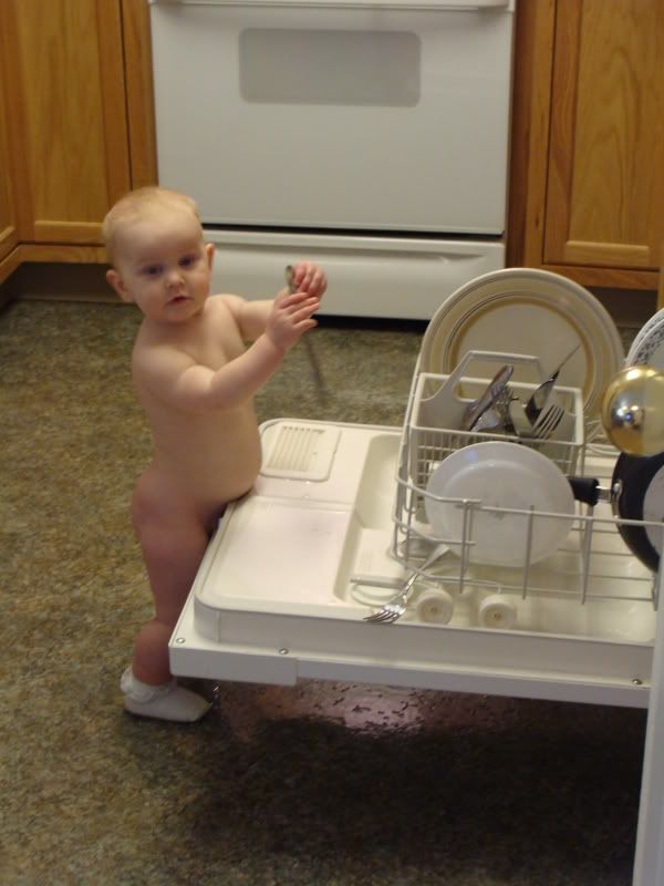 Naked Dishwasherer