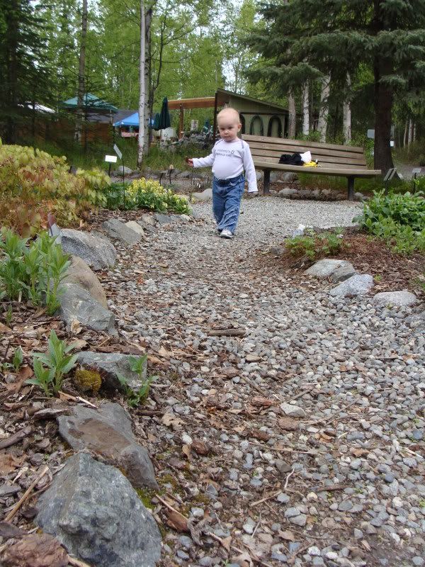 Autumn walking by herself
