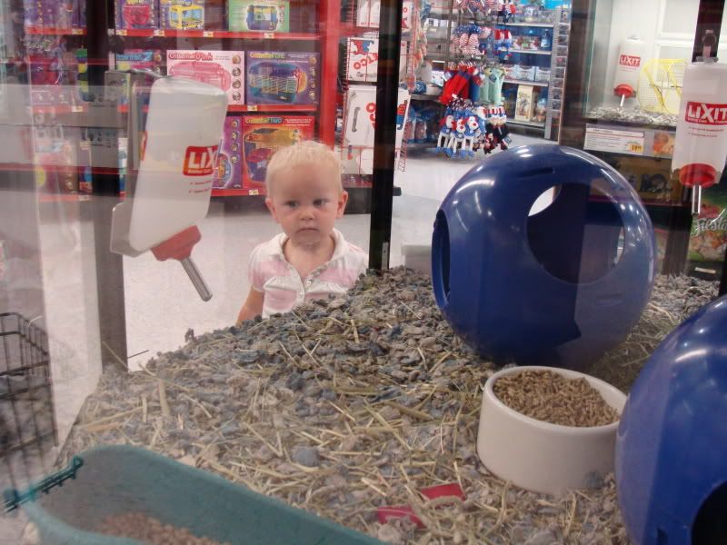 What is going on here.