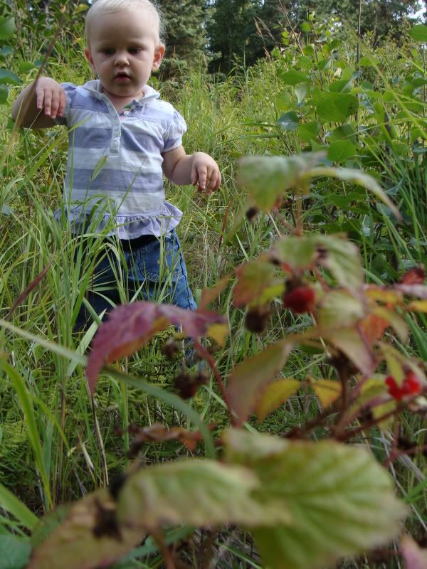 Climbing through the grass