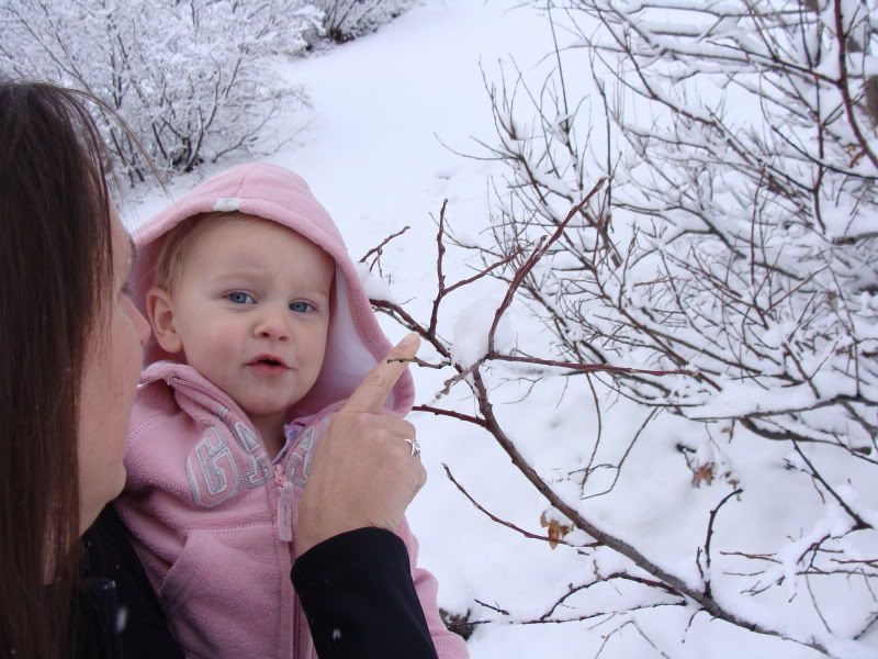 Crying over a snowflake.