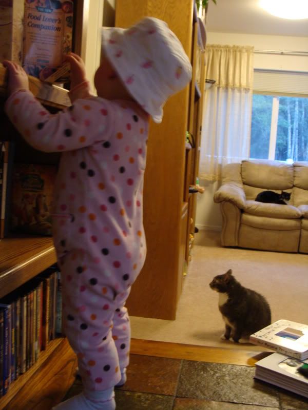 Reading The New Food Lover's Companion