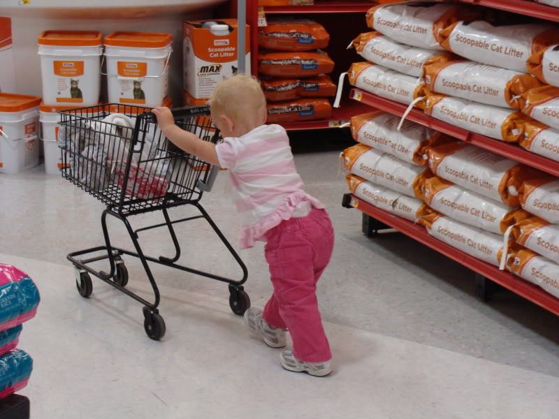 Pushing the cart.