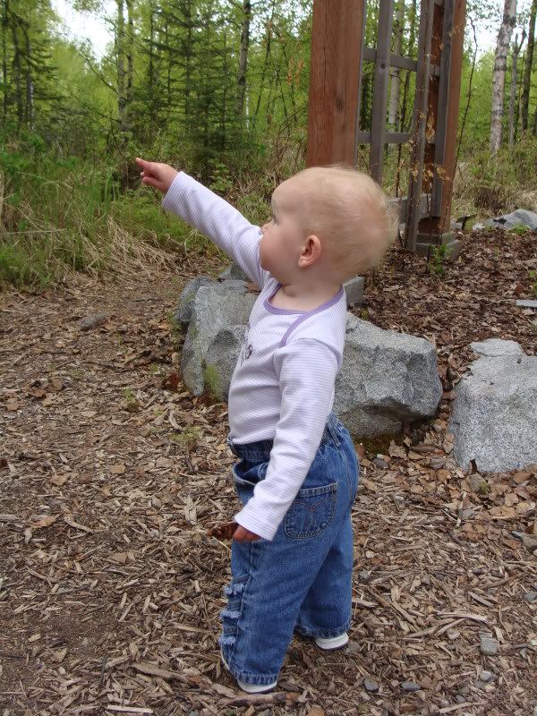 Pointing out a plane