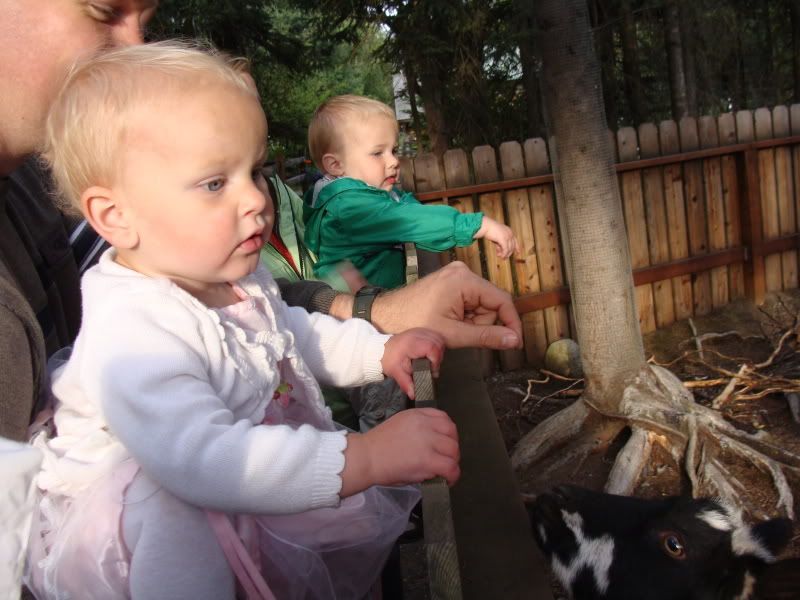 Autumn and Dylan feeding goats.