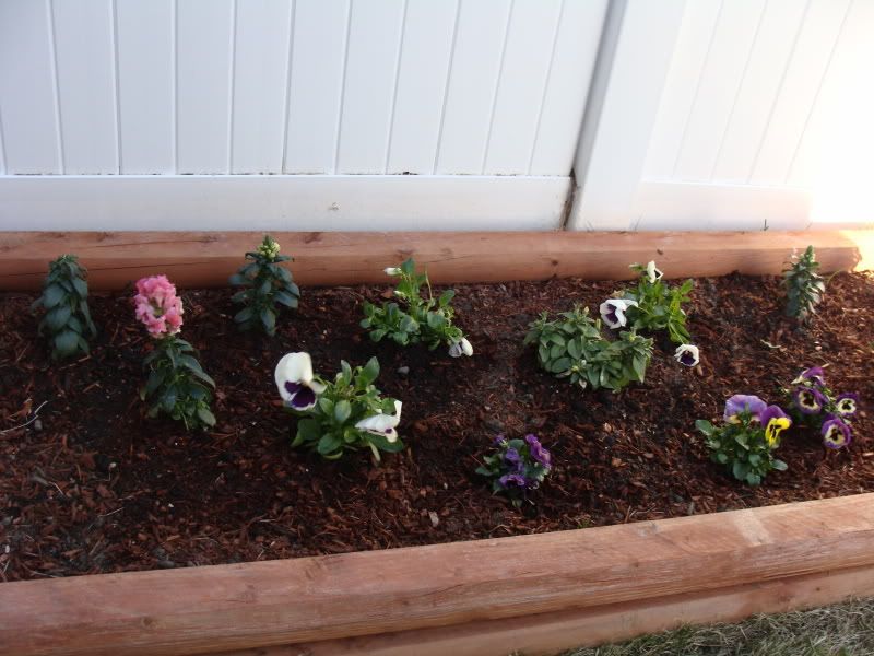 Back flower bed.