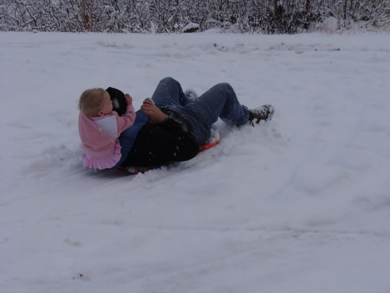 Very Scary sledding