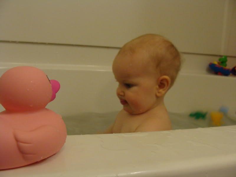 Pink Ducky Watching.