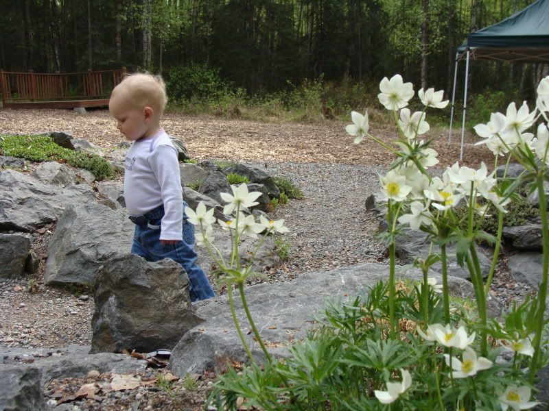 Autumn walking through the gardens