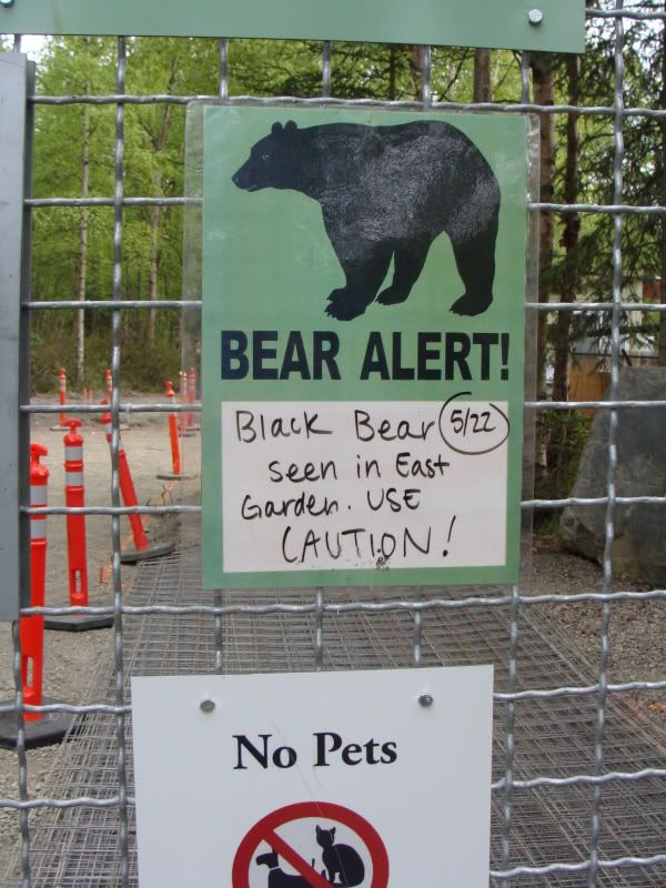 Bear Alert