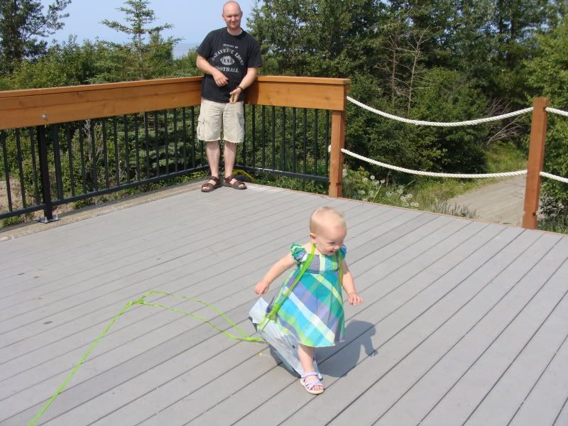 kite around my shoulders