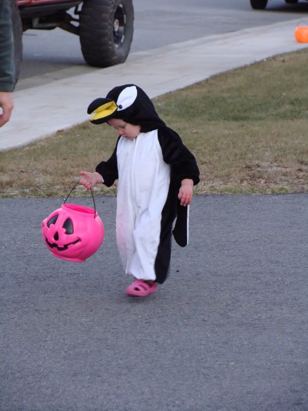 Checking out her bucket.
