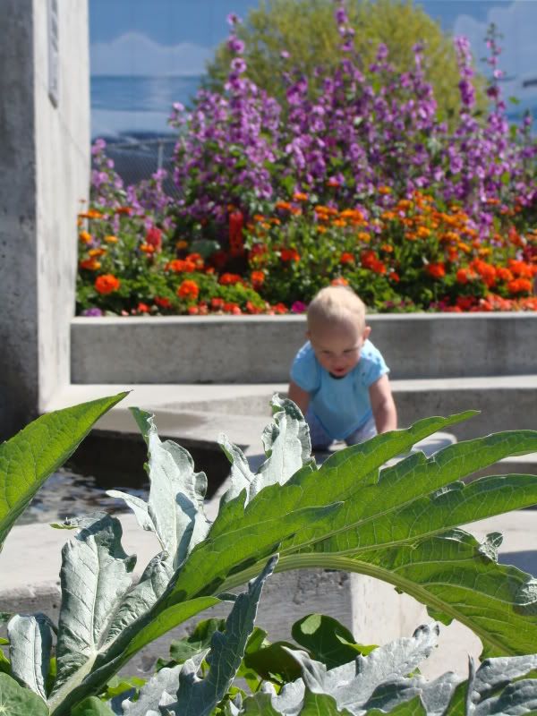 Climbing on the wall.