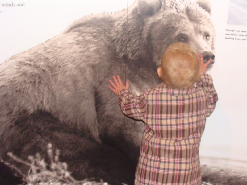 Kissing a bear