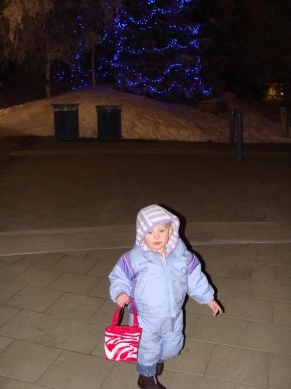 Purse goes everywhere