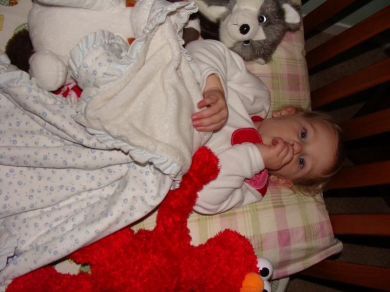 Balto, Bernie, Autumn and Elmo