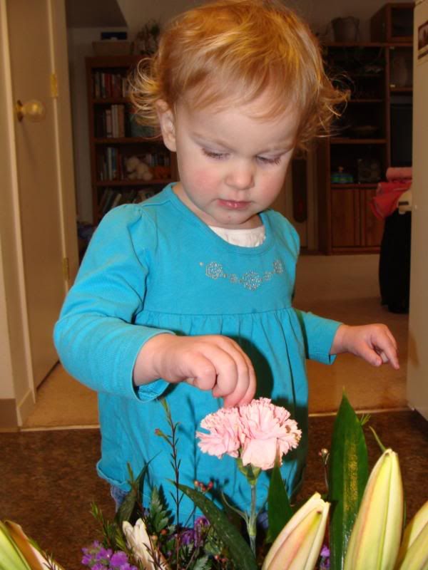 He loves me, he loves me not