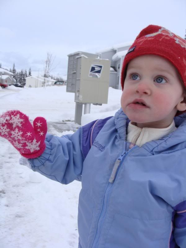 Hello to the airplane