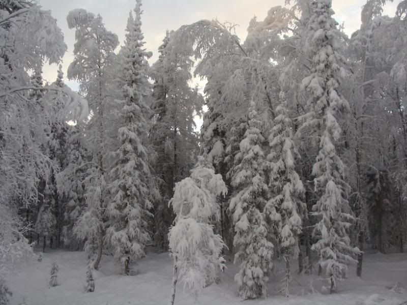 The sun will come out