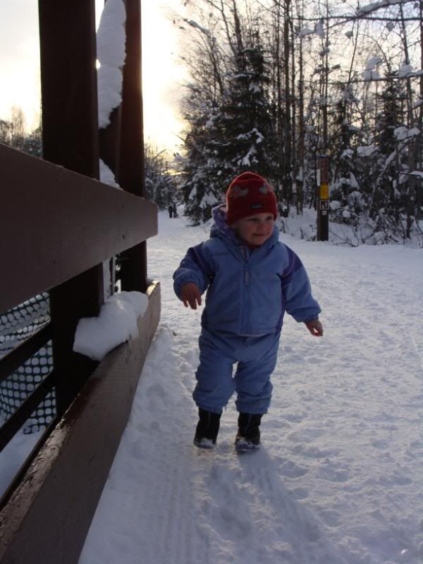 Autumn on the bridge