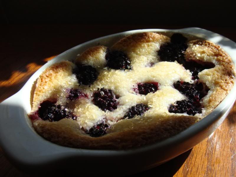 Blackberry cobbler