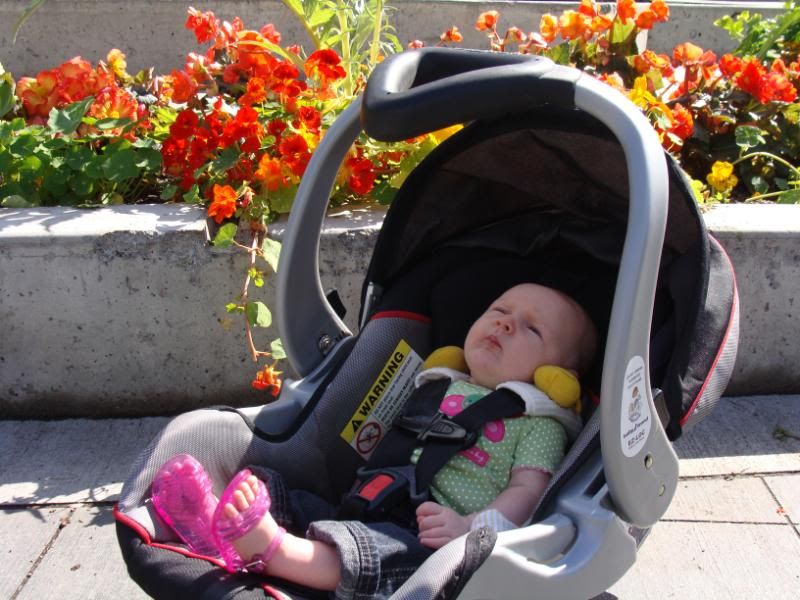 Checking out the flowers