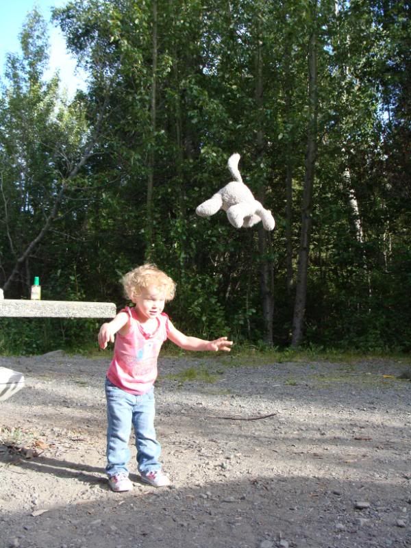 Tossing a cat