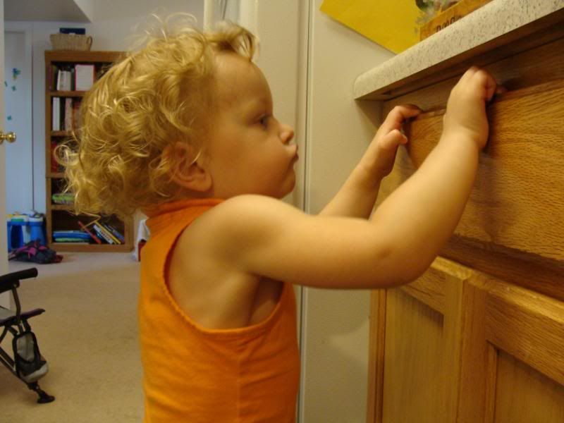 Welcome to the gun show