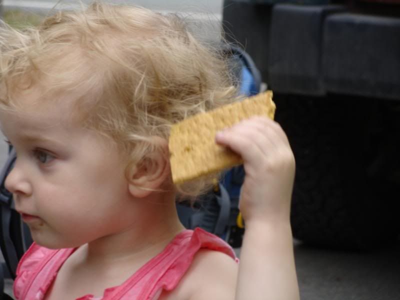 Brushing your hair with graham cracker