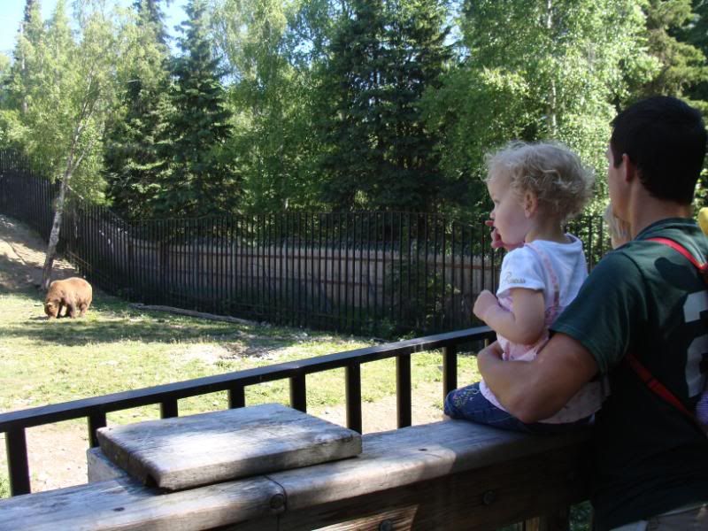 Autumn and the brown bear