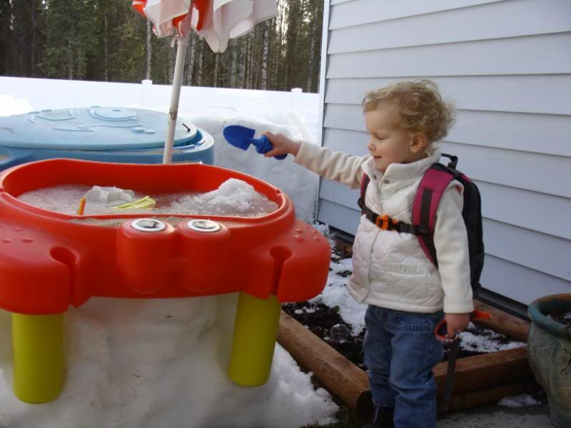 Spring time in Alaska