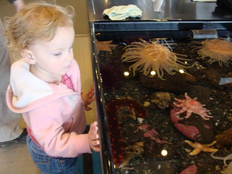 Touch tank