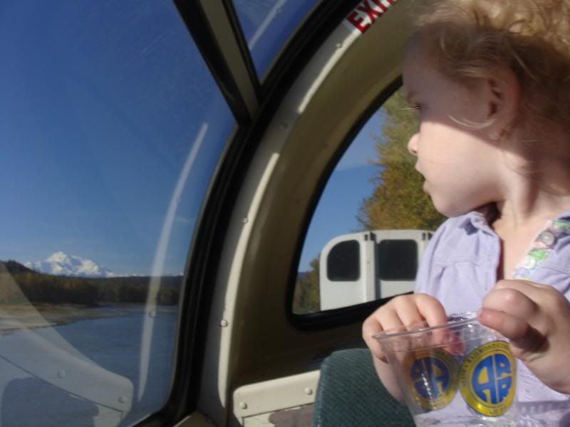 Autumn and Mt McKinley