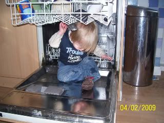 captionsandlabelsphotos059.jpg
