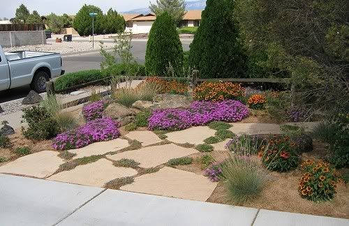 Just because the xeriscaping you see around most houses is ...
