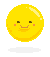what happend with dim.po