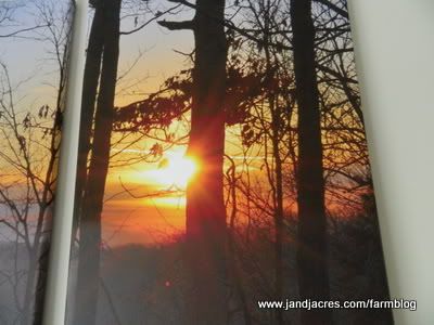 Split Panel canvas bestcanvas.com