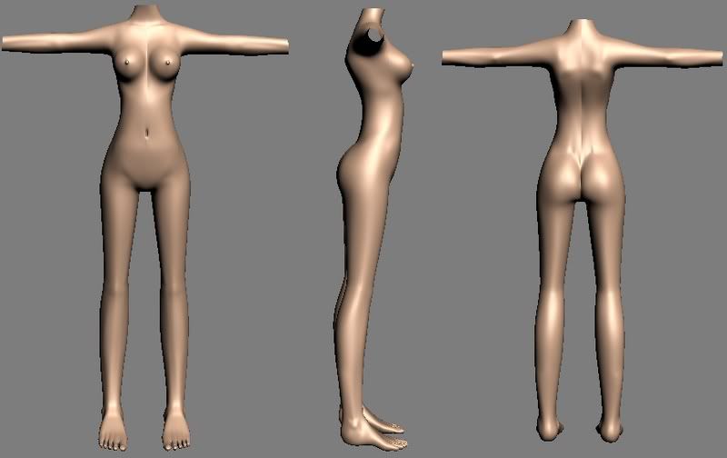 Girl Anatomy Pictures