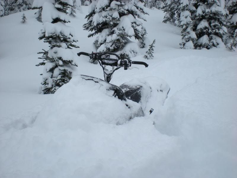 Revy57-CaribouRide.jpg