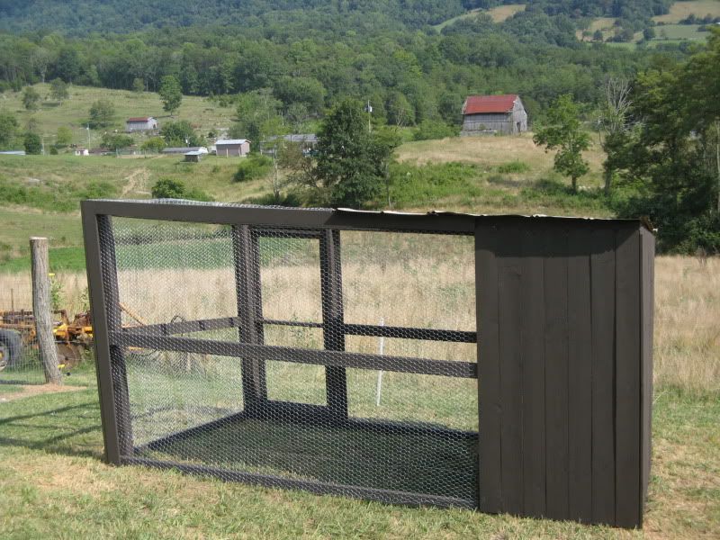 ... Coop, Raising Pheasant, Raising Quail Quail, Tips Quail Disease Quail ... .com/albums/p310/mrtruman1978/Pheasant%20Pen/PheasantPen005.jpg