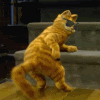 th_dancinggarfield.gif th_dancinggarfield.gif