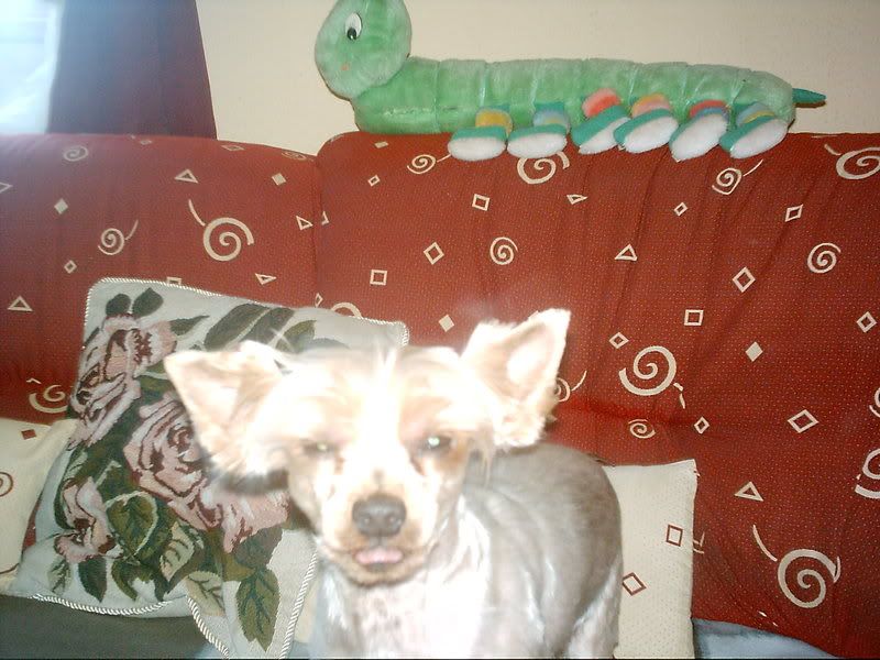 IMAG0011-3.jpg