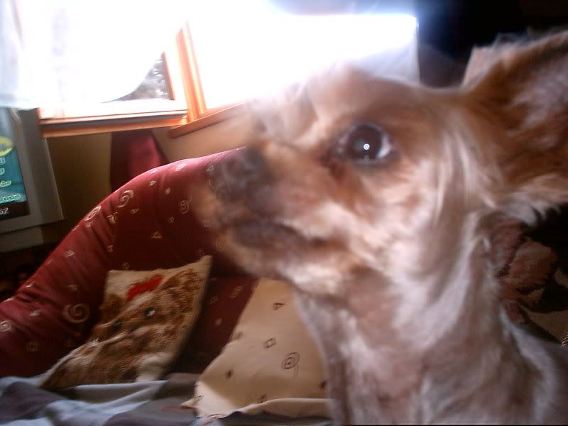 IMAG0012-8.jpg